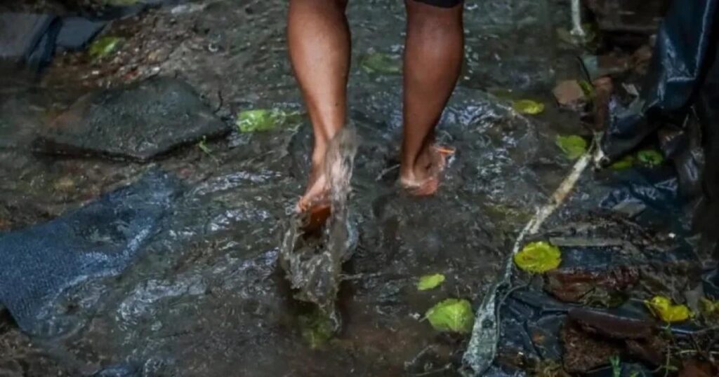 Saúde em Maceió Intensifica Orientações sobre Leptospirose Durante as Chuvas