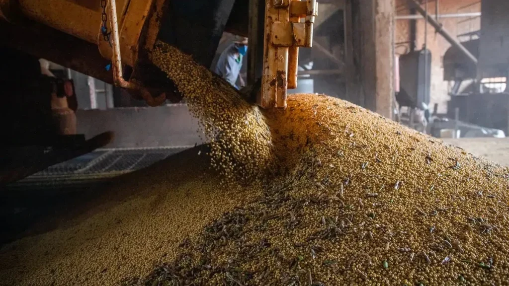 Economia Brasileira Cresce 1,1% no 1º Trimestre de 2026, Revela IBGE