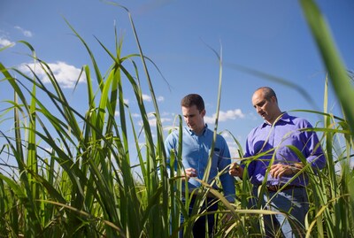 Bayer Lança Fundo de R$ 500 Milhões para Descarbonização no Agronegócio Bayer Lança Fundo de R$ 500 Milhões para Descarbonização no Agronegócio