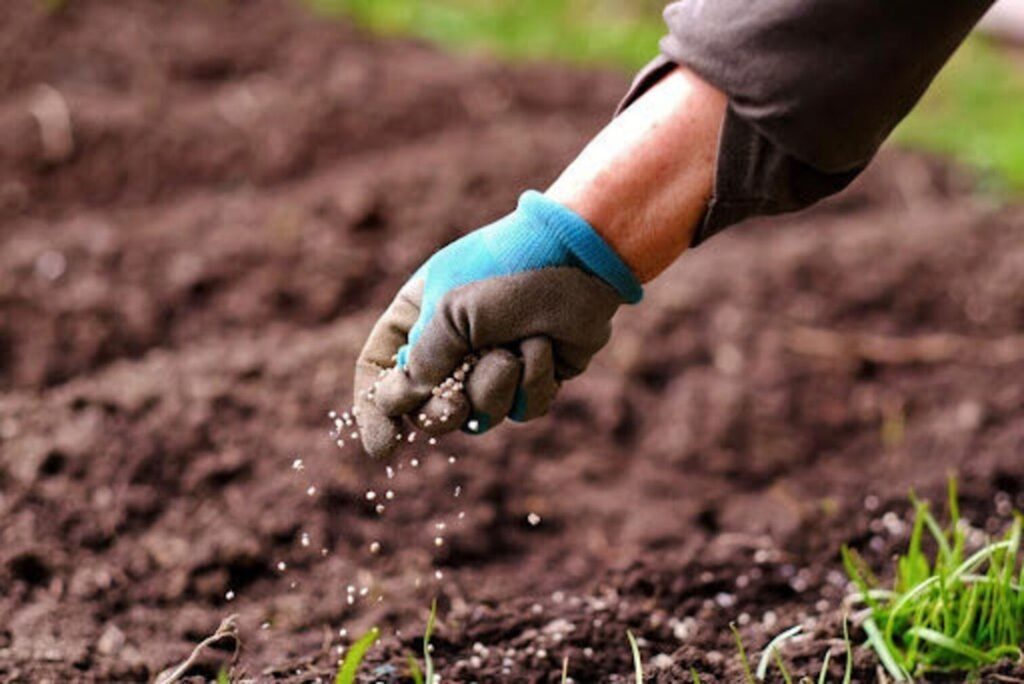 Conflito no Irã Eleva Custos de Fertilizantes e Impacta o Agronegócio Brasileiro