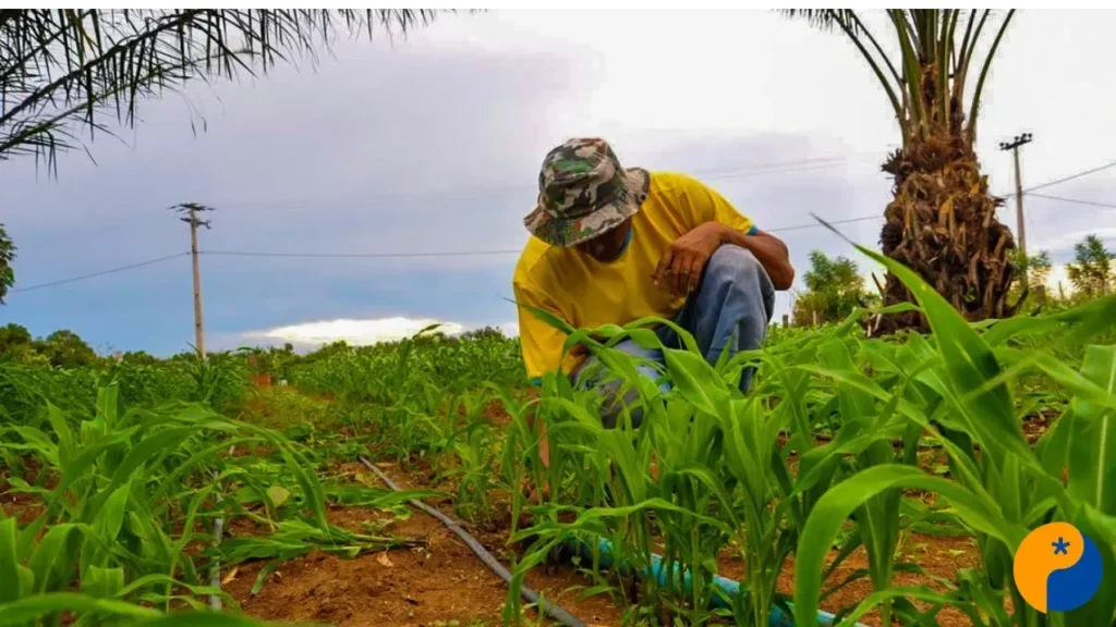 Cooperativas Elevam Crédito Rural e Impulsionam Agronegócio Mineiro