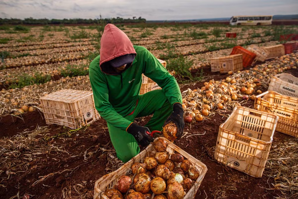 Emprego no Agronegócio atinge Recorde, mas Segmento de Produção Agropecuária Enfrenta Queda