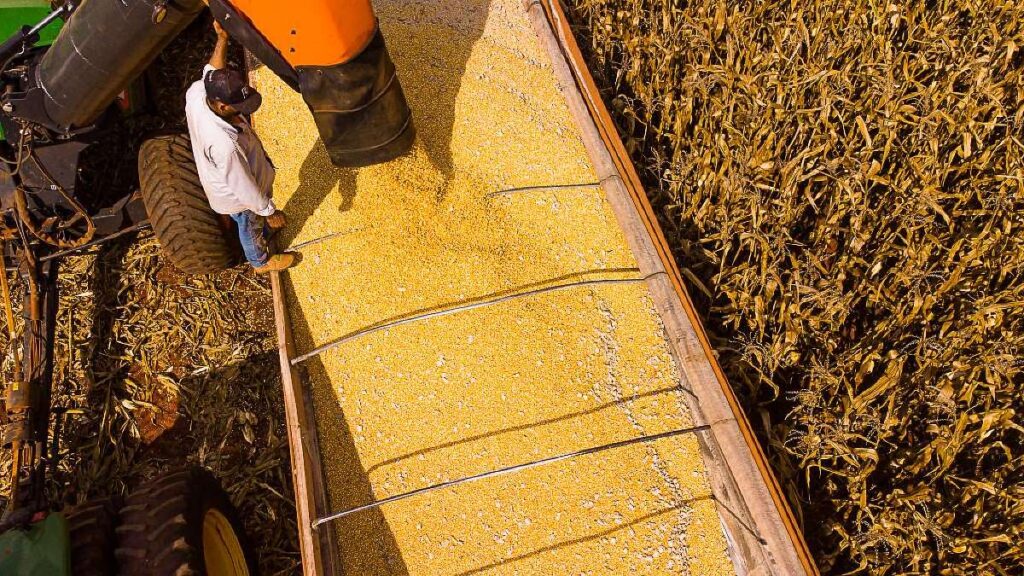 Mato Grosso: Projeção de R$ 206 Bilhões em Produção Agropecuária para 2026
