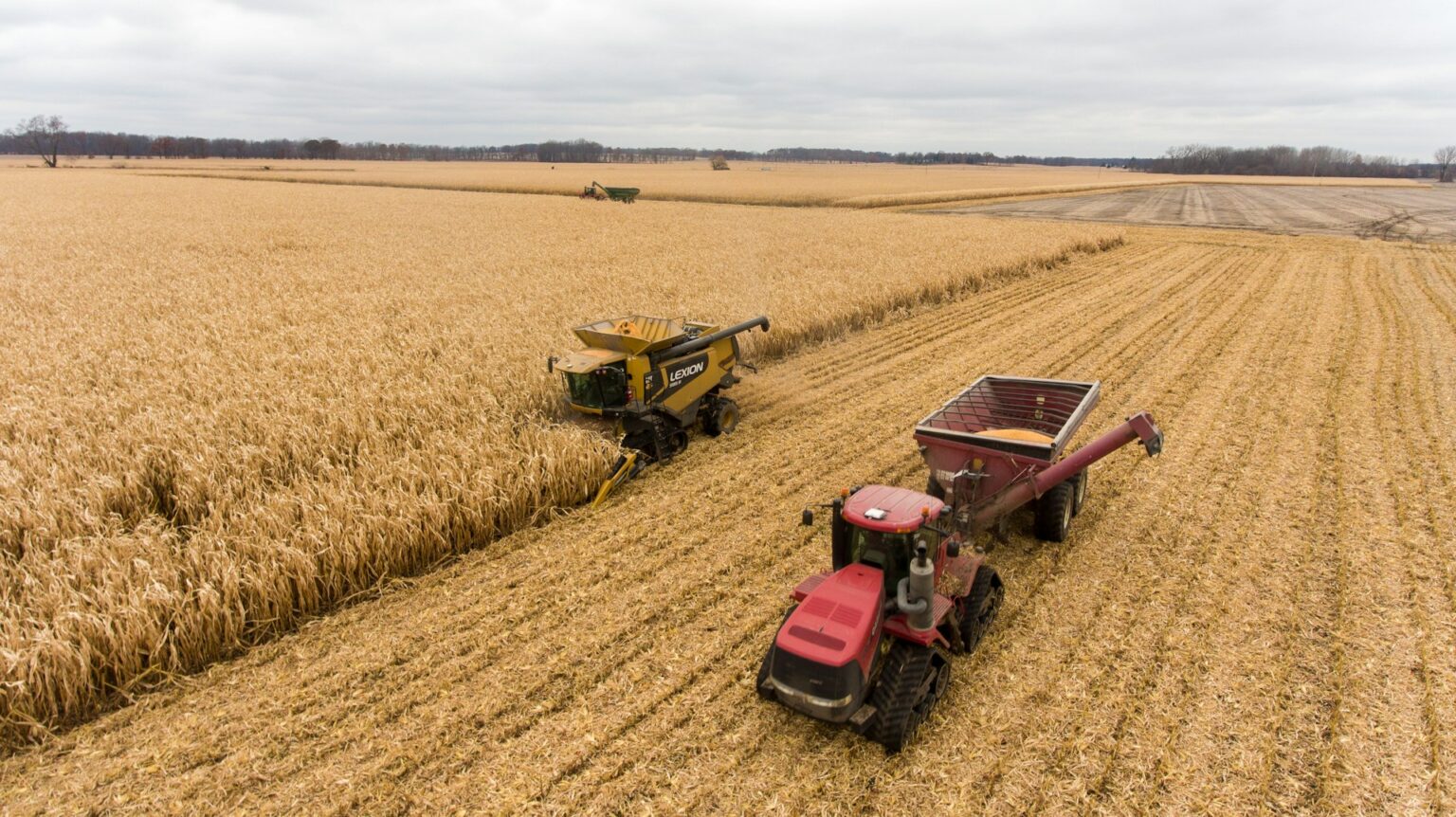 Recuperação Judicial em Mato Grosso: Análise do Agronegócio sob a Perspectiva da Jurimetria