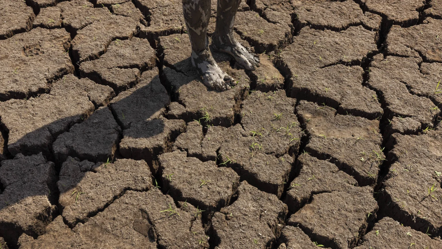 El Niño 2024: Fenômeno Climático Deve Se Intensificar e Impactar Economia Global El Niño 2024: Fenômeno Climático Deve Se Intensificar e Impactar Economia Global
