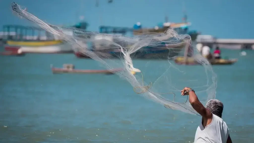 Economia Azul no Ceará: Como a Fiec Impulsiona o Potencial do Mar para o Desenvolvimento Econômico
