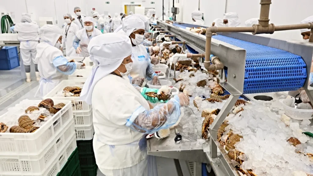 Ceará lidera exportações de pescados com US$ 28,7 milhões e impulsiona economia regional