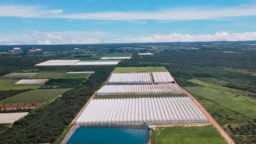 PIB do Ceará Cresce 1,93% no 1º Trimestre de 2026 Impulsionado pelo Agro e Serviços
