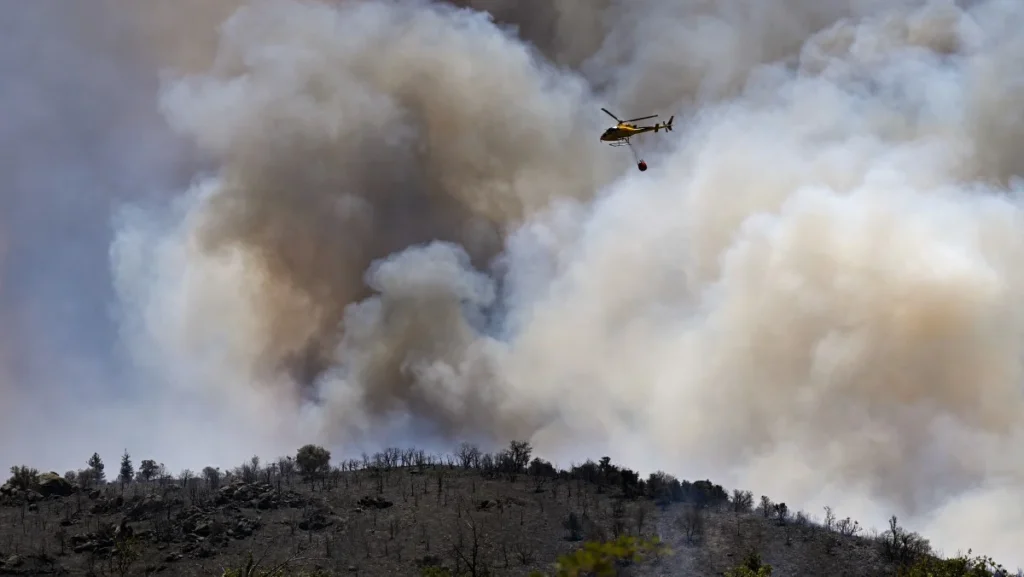 Incêndios na Europa destroem mais de 17 mil hectares em meio a calor extremo Incêndios na Europa destroem mais de 17 mil hectares em meio a calor extremo