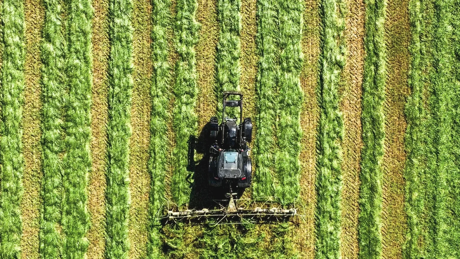 Transformação do Agro no Ceará em 2026: Tecnologia, Genética e Novos Negócios no Campo Transformação do Agro no Ceará em 2026: Tecnologia, Genética e Novos Negócios no Campo